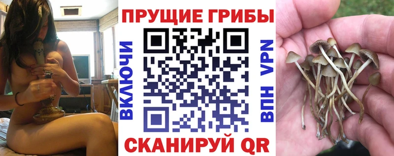 Галлюциногенные грибы MAGIC MUSHROOMS  Верхнеуральск 